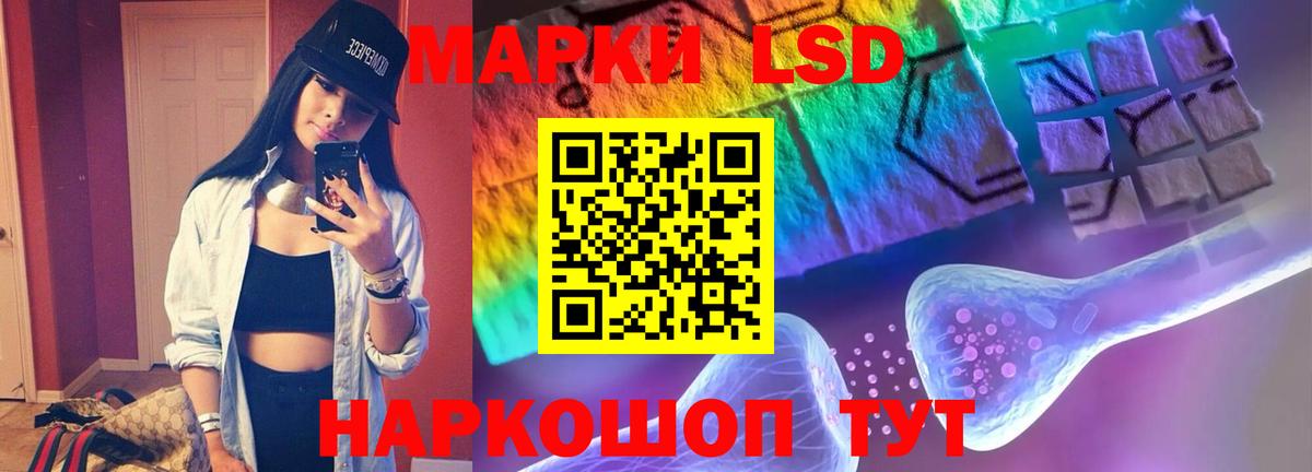 ЛСД экстази кислота  ЛСД экстази кислота  Вход с VPN  Бердск 